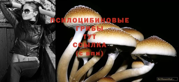дживик Алексин