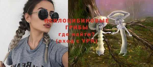 дживик Алексин