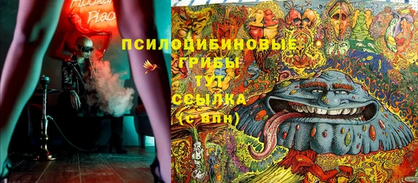 дживик Алексин